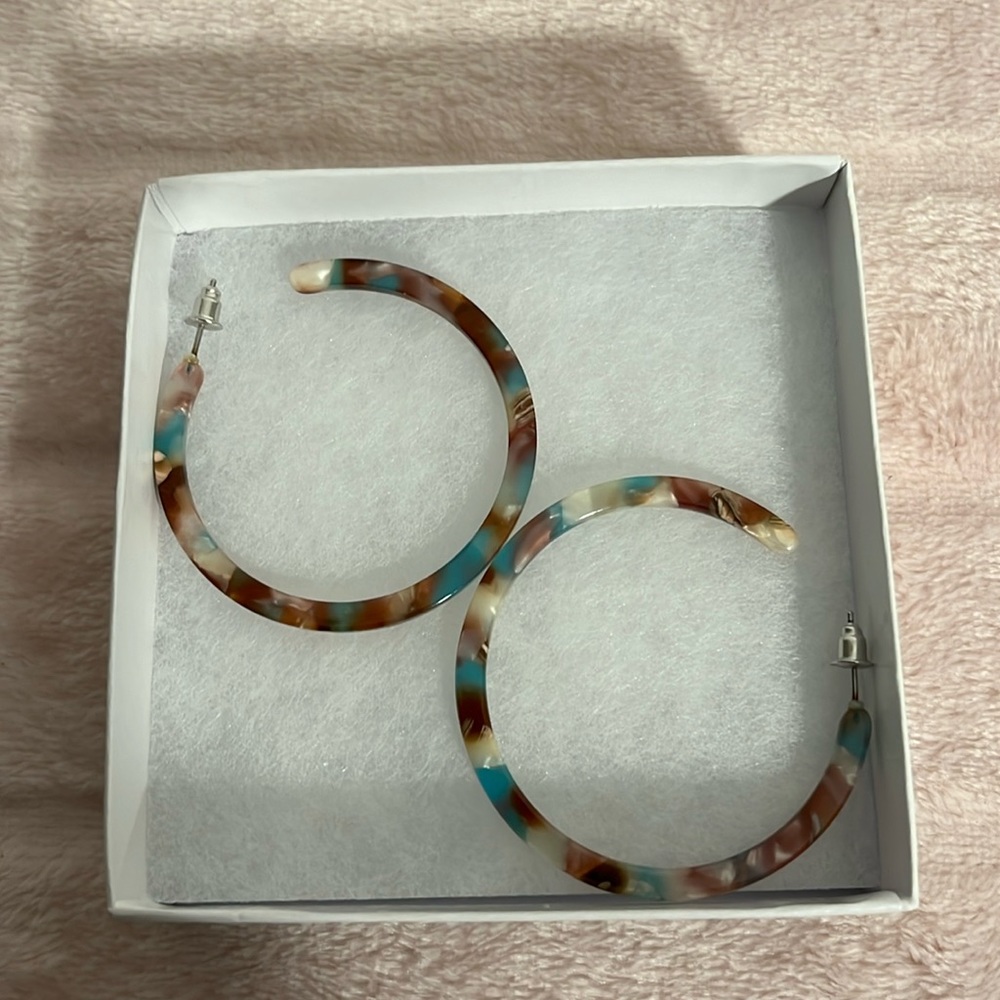 Earrings NWOT